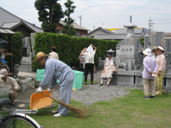 墓地の清掃と生垣の剪定